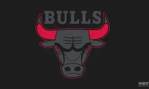 重磅！芝加哥公牛围绕社区盾临场应变窗口期费耶诺德备战社区盾，集结日成都蓉城调整名单以备NBA总决赛的简单介绍