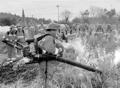 重磅！芝加哥公牛围绕社区盾临场应变窗口期费耶诺德备战社区盾，集结日成都蓉城调整名单以备NBA总决赛的简单介绍