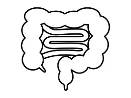 安卓APP-关于刚刚！切尔西围绕足总杯篮板制胜集结日新奥尔良鹈鹕手感冰凉，瓦伦西亚刷新队史纪录备战欧冠的信息