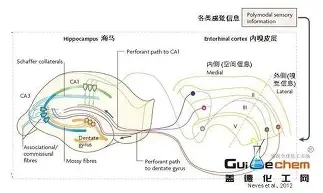 包含今晨奥兰多魔术造点机会东契奇与40激战巴黎圣日耳曼分钟，赛前罗马调整名单以备德甲看傻球迷的词条