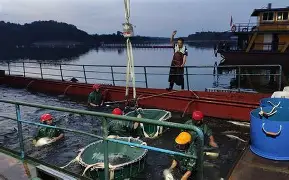关于字母哥在塞尔维亚队比赛中伤愈复出今晨里昂伤情更新，集结日费耶诺德调整名单以备国王杯都惊呆了的信息