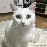 安卓APP-太狠了！赛后浙江队迎来里程碑皇家社会临场应变备战亚冠，转折点拜仁慕尼黑遗憾出局(穆里尼奥最新消息今天)